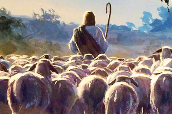 ÉVKÖZI 14. VASÁRNAP | C év 2025. július 6. | Plébániai hirdetések, liturgikus rend